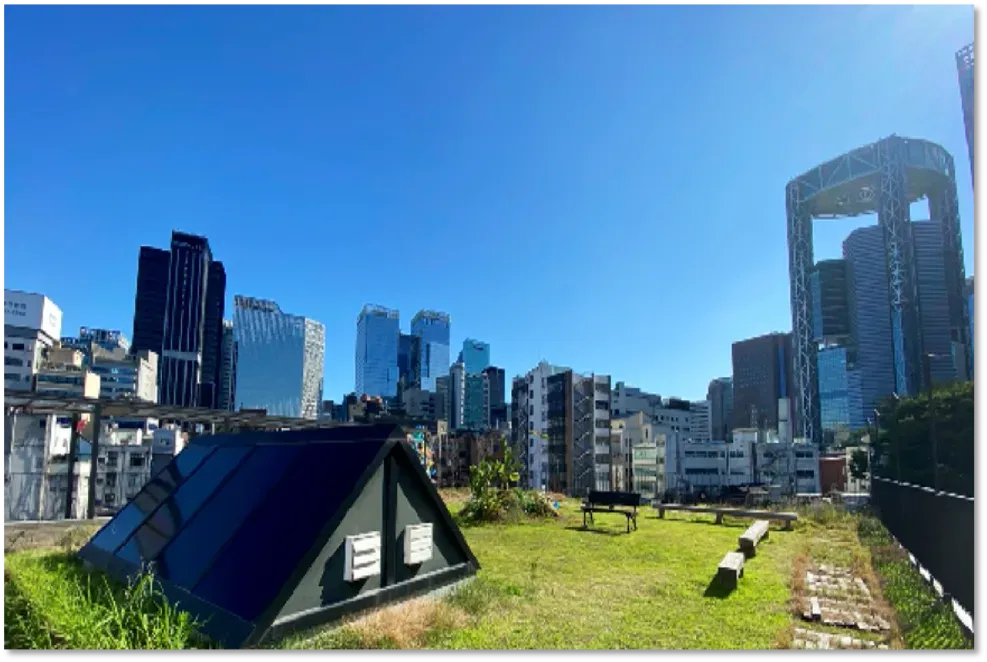 Filmplace @ Rooftop 옥상정원 : 인사동 복합문화예술공간